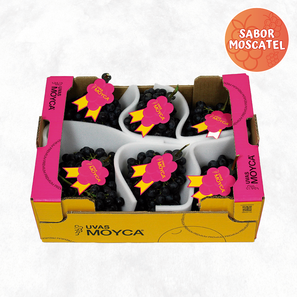 Uva Sable Seedless Moyca - uva negra sin semillas sabor dulce moscatel